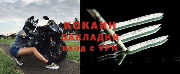 шишки Белоозёрский