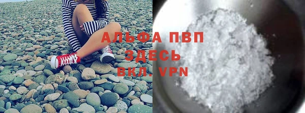 шишки Белоозёрский