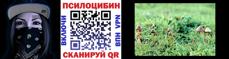 Псилоцибиновые грибы мицелий  Плёс 