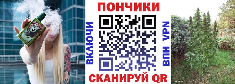 Бошки Шишки план  где найти   Плёс 
